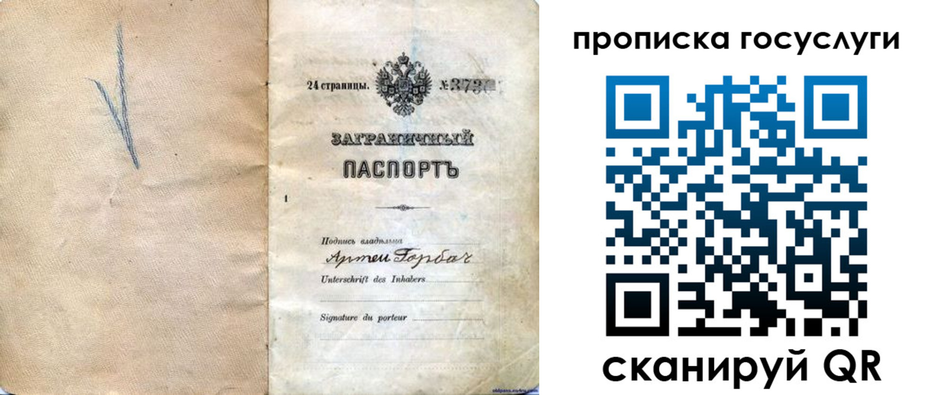 прописка законно в Елизово